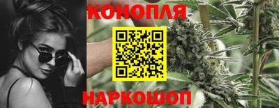 apvp Нягань